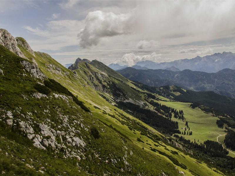 我是传奇<br>lyd4nhjn.cn 纽约僵尸围城